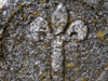 Captcha image 7300