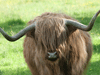 Captcha image 1583
